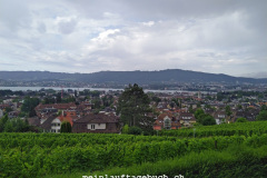 Zürich, Sonnenberg