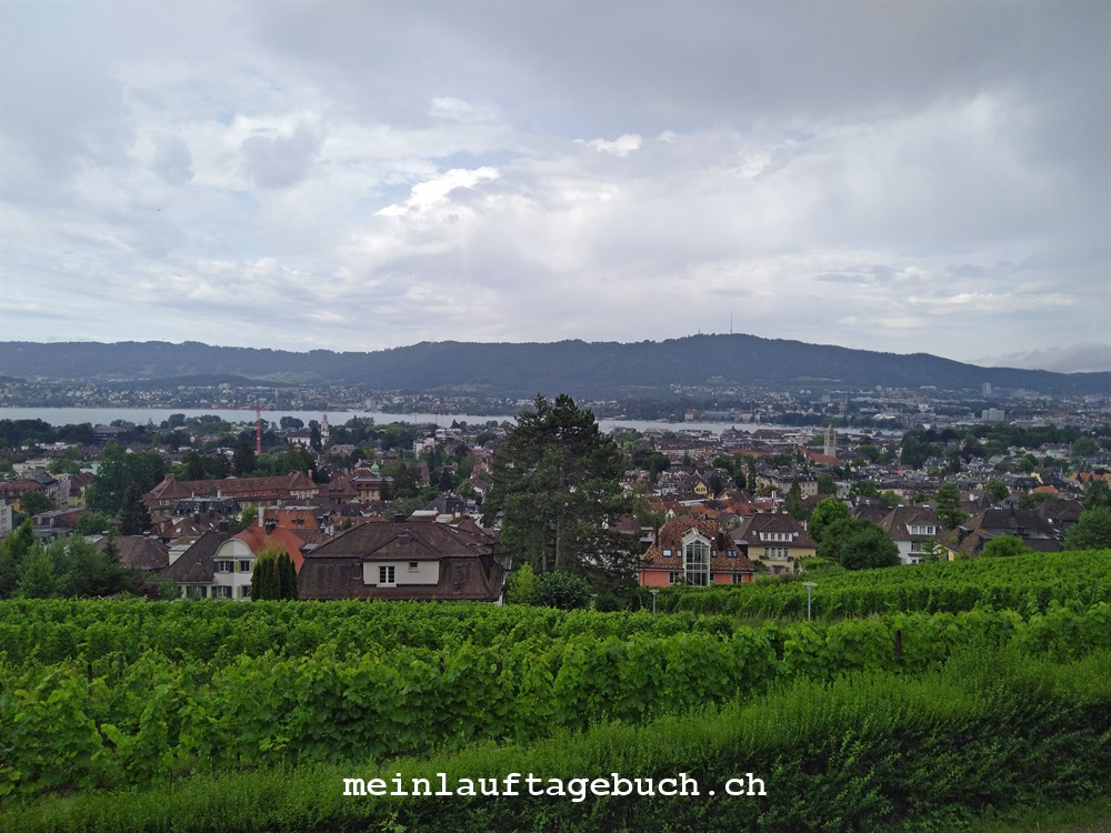 Zürich, Sonnenberg