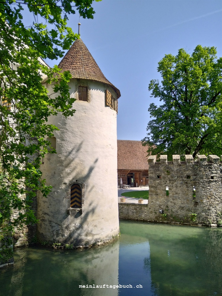 Schloss Hallwil