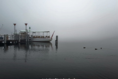 Im Nebel am Greifensee