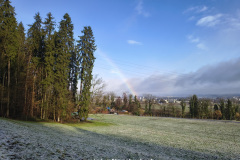 Wechselhafter Februar