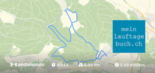 Laufen Training Pfaffhausen Wald
