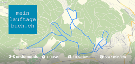 Laufen Training Pfaffhausen Wald