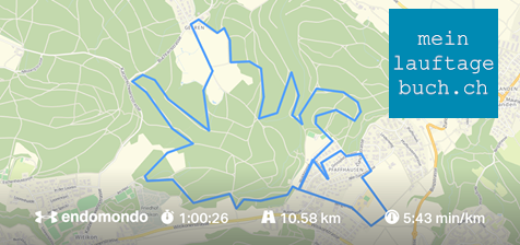 Laufen Training Pfaffhausen Wald