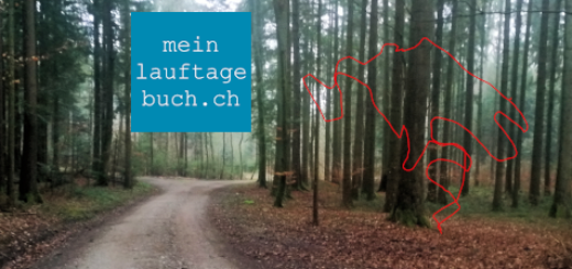 Laufen Training Pfaffhausen Wald