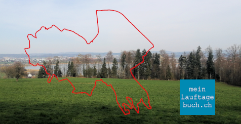 Laufen Training Pfaffhausen Wald Fällanden Greifensee