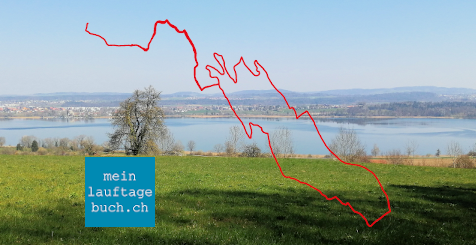 Laufen Training Pfaffhausen Wald Fällanden Greifensee