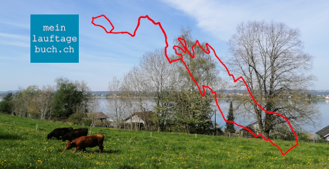 Laufen Training Pfaffhausen Wald Fällanden Greifensee