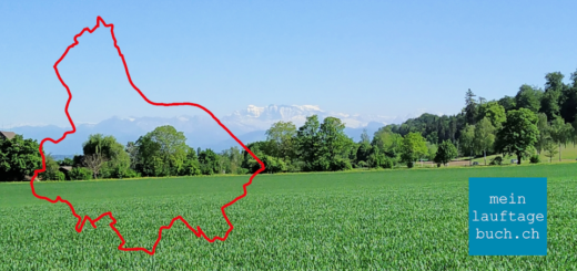 Laufen Training Pfaffhausen Wald Fällanden Greifensee
