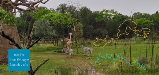 Laufen Pfaffhausen Zoo Zürich