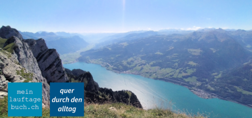Bewegung Laufen Wanderung Leistchamm