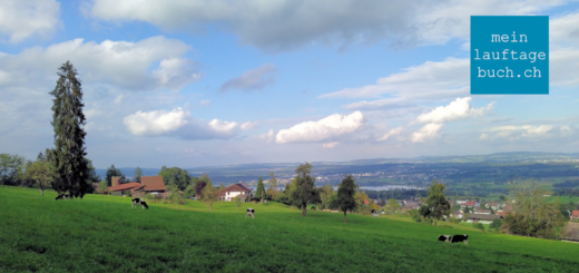 Laufen Training Stäfa Pfaffhausen Greifensee