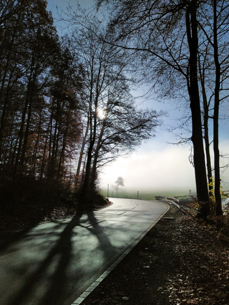 Laufen Training Pfaffhausen Herbst Nebel