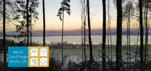Laufen Greifensee Fällanden Halbmarathon