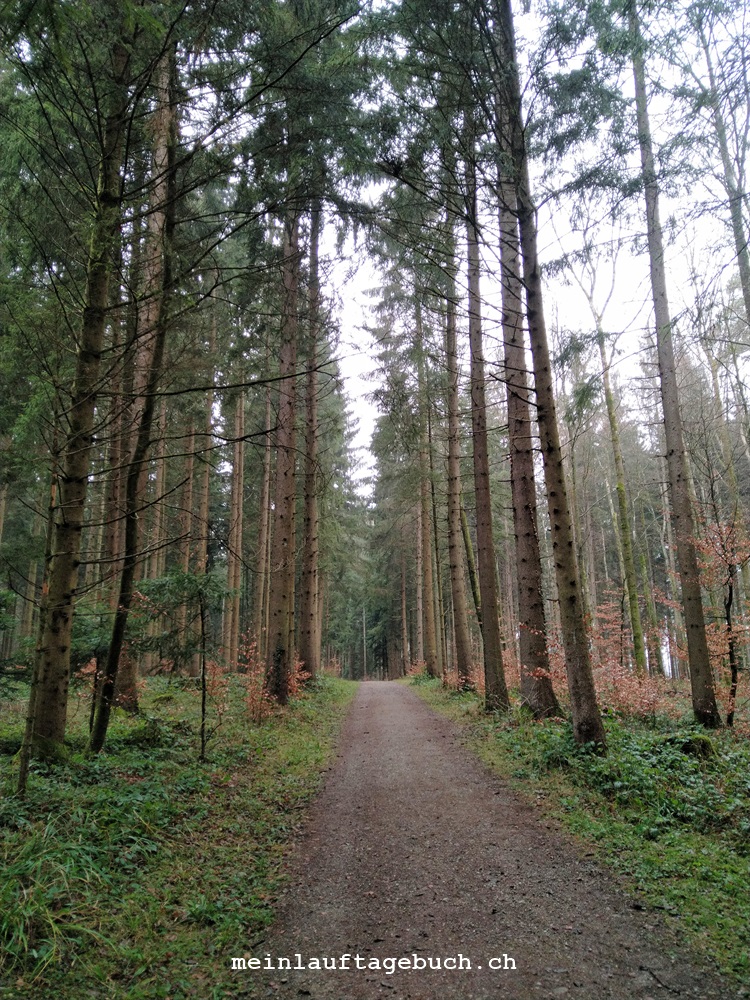 Laufen Wald Pfaffhausen Neujahr Winter Laufsocken