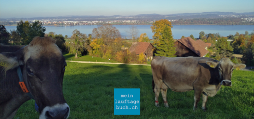 Laufen Training Greifensee