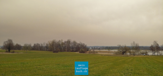 Laufen Saharastaub Greifensee