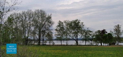 Laufen Greifensee Egg