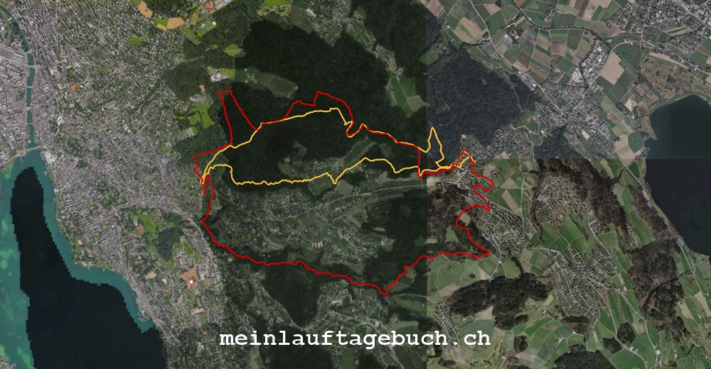 Wald Tobel Stadt Zürich