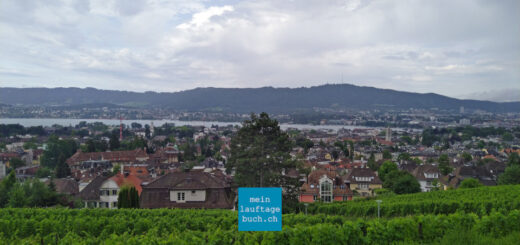 Laufen Aussicht Stadt Zürich