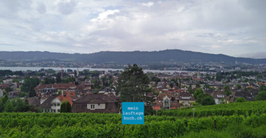 Laufen Aussicht Stadt Zürich