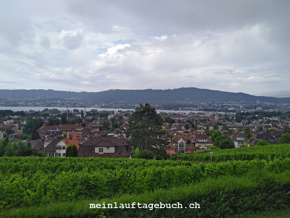 Laufen Aussicht Stadt Zürich