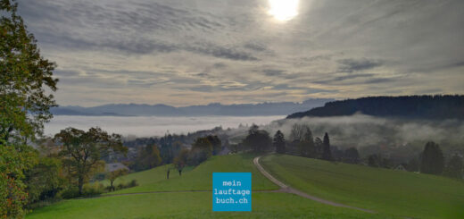 Laufen Herbst Nebel Sonne