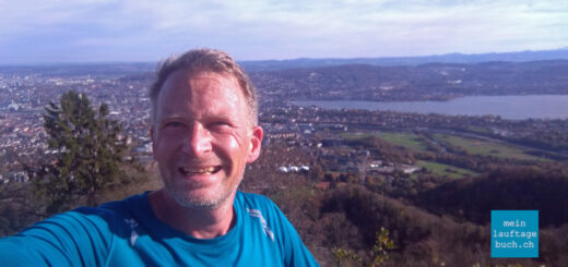 Laufen Zürich Uetliberg Albis