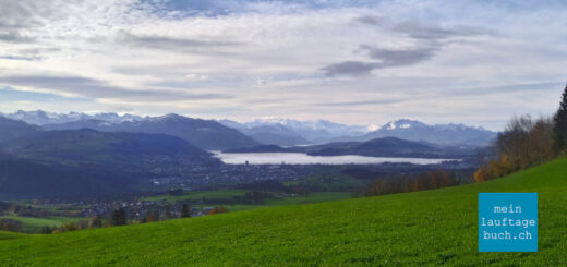 Langer Lauf Albis Sihlbrugg Hirzel Au Zürichsee