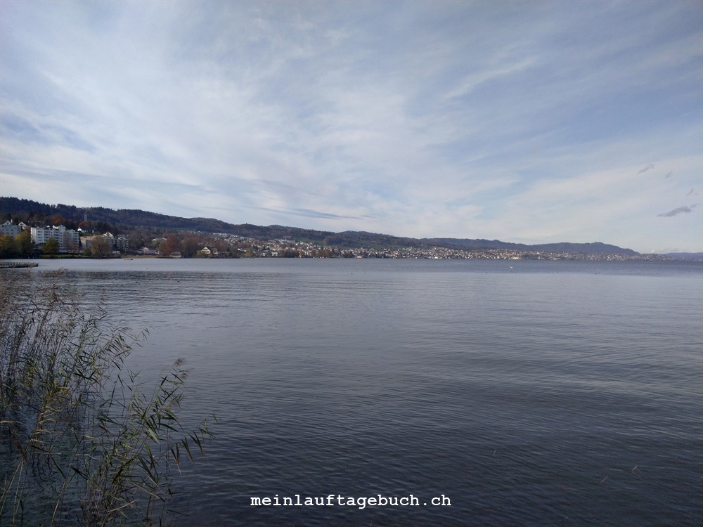 Langer Lauf Albis Sihlbrugg Hirzel Au Zürichsee