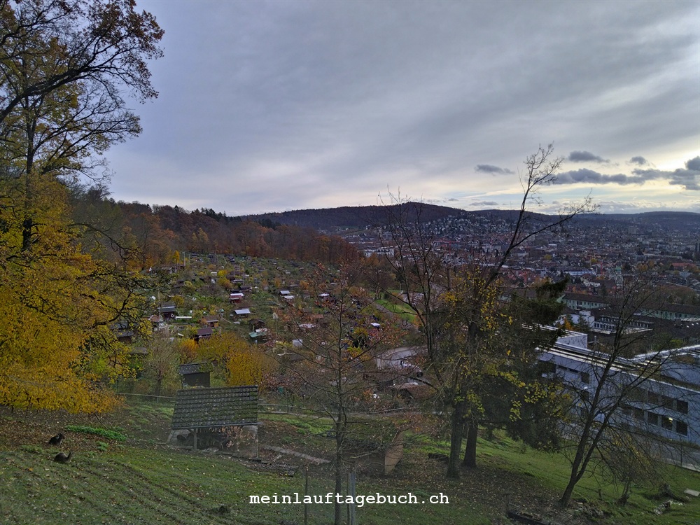 Laufen Herbst Stadt Zürich Chäferberg Waid