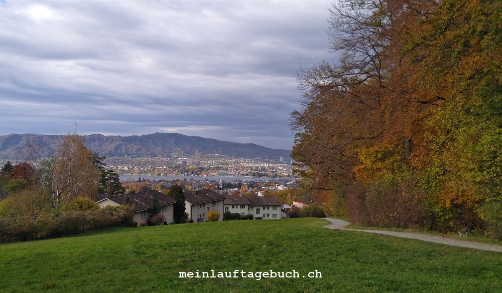 Laufen Zürich Herbst Elefantenbach