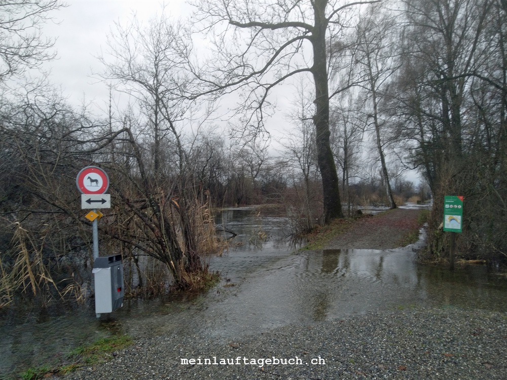 Laufen Greifensee Fällanden Hochwasser