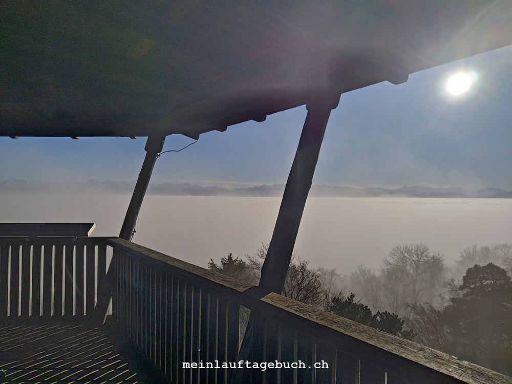 Laufen Nebel Sonne Wald Zürich Dezember