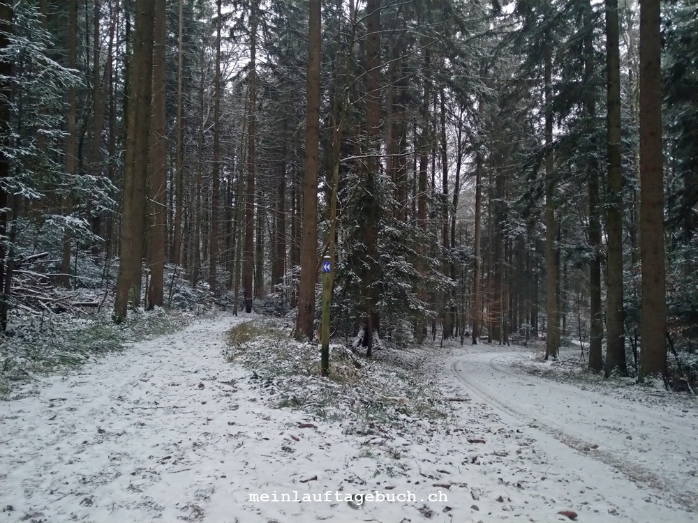 Laufen Januar Winter Weiss Grau