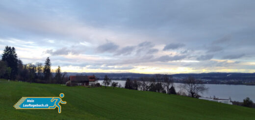 Laufen Winter Greifensee Morgenstimmung Dezember