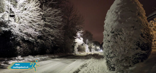 Laufen Winter Schneebedeckter Januar