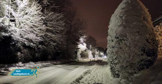 Laufen Winter Schneebedeckter Januar