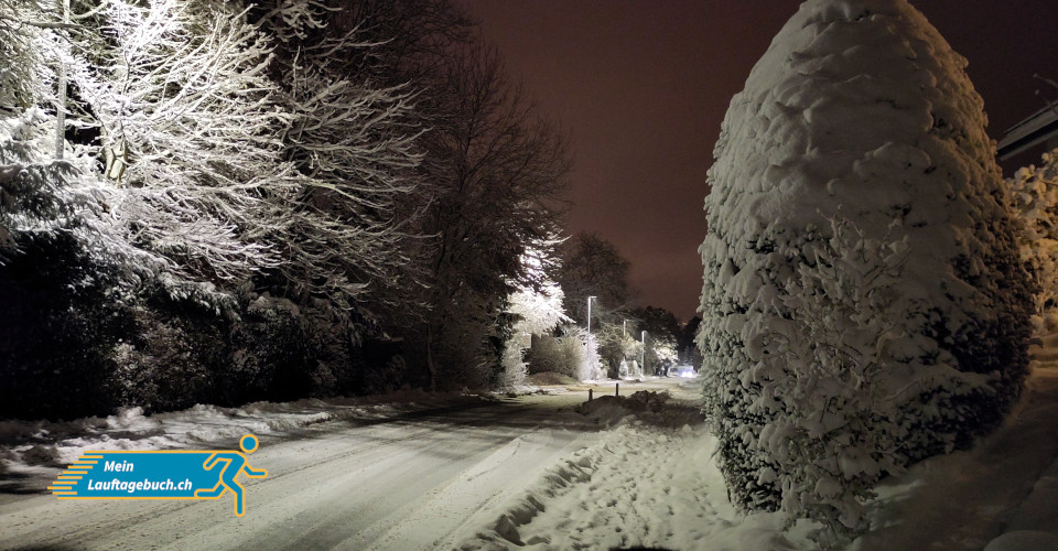 Laufen Winter Schneebedeckter Januar
